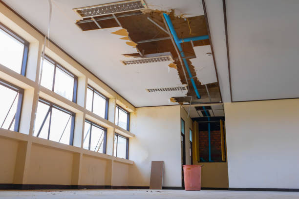 Best Water damage restoration process  in Hurricane, UT