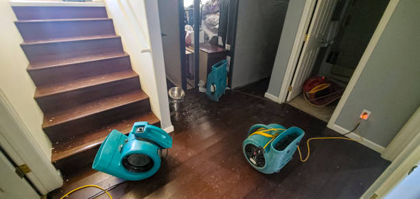 Professional Water damage restoration in Hurricane, UT