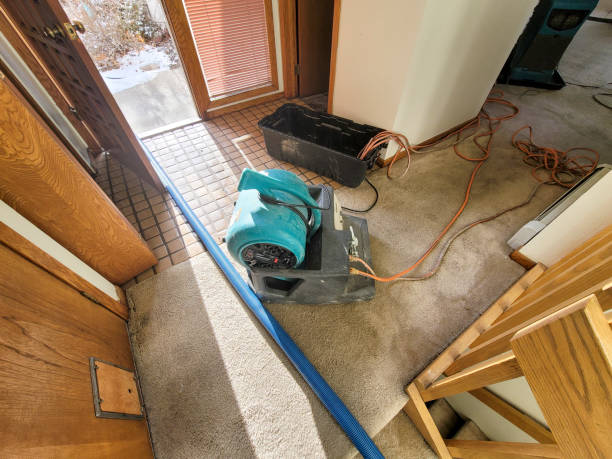 Best Carpet water damage restoration  in Hurricane, UT