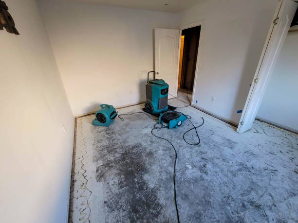Best Emergency water damage restoration  in Hurricane, UT