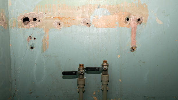 Best Flood damage cleanup  in Hurricane, UT